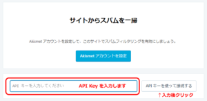 「API Key」を入力（貼付）します。
